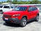 2019 Jeep Cherokee Trailhawk Elite 4x4